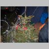 Bild 119.jpg